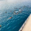 Protaras Boat trip – Chillout Cruise - Image 17