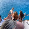 Protaras Boat trip – Chillout Cruise - Image 21